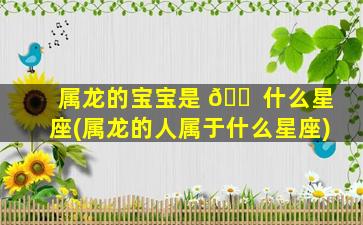 属龙的宝宝是 🐠 什么星座(属龙的人属于什么星座)